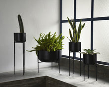 Cargar imagen en el visor de la galería, Maceta KALE (negra)