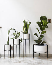 Cargar imagen en el visor de la galería, Maceta KALE (blanco y negro)